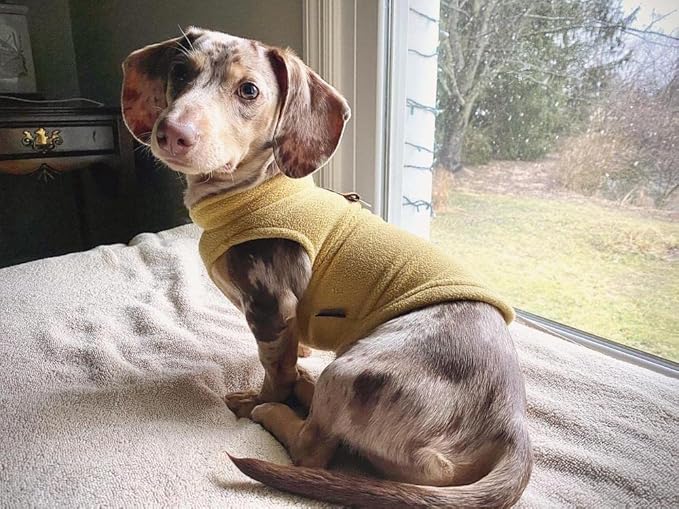 Gooby Fleece Vest Dog Sweater - Honey Mustard, Large - Warm Pullover Fleece Dog Jacket with O-Ring Leash for Small to Medium Dogs