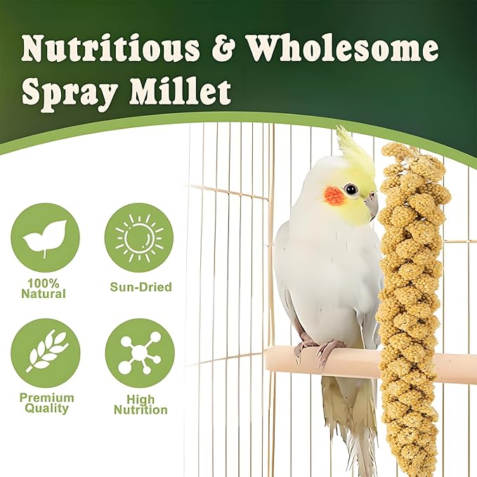 RANZ 5LBS Millet Spray for Birds, GMO-Free, Sun Dried Spray Millet, Original Bird Treats & Supplement for Parrots, Cockatiels, Lovebirds, Painted Buntings and Finches, Parakeets Food