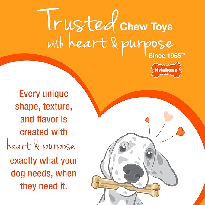 Nylabone Limited Edition 70th Birthday Textured Bone Power Chew Toy for Dogs, Durable & Tough Dog Toys for Aggressive Chewers, Roasted Chicken Flavor, Medium Dogs - Up to 35 lbs (1 Count)