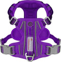 BARKBAY Dog Harness No Pull with ID Tag Pocket - Heavy Duty, Reflective, Easy Control for Small Dogs(Purple,S)