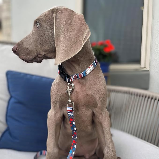 Lucky Love Dog - Adjustable Dog Collar and Leash Set with Easy Click Buckle for Small to Large Dogs, Durable, & Comfortable Collar for Male & Female Dogs, Puppies & Adult Ones - Linus Combo, Medium