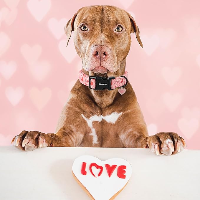 DOGWONG Valentine's Day Dog Collar, Cute Heart Dog Collars, Adjustable Valentine Pink Candy Heart Pet Collars Design Dog Collar with Quick Release Buckle for Puppy Girl Boy Female Dogs