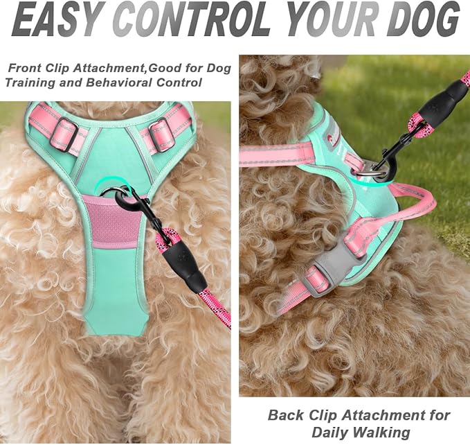 BARKBAY No Pull Dog Harness Front Clip Heavy Duty Reflective Easy Control Handle for Large Dog Walking(Cool Mint & Baby Pink,S)