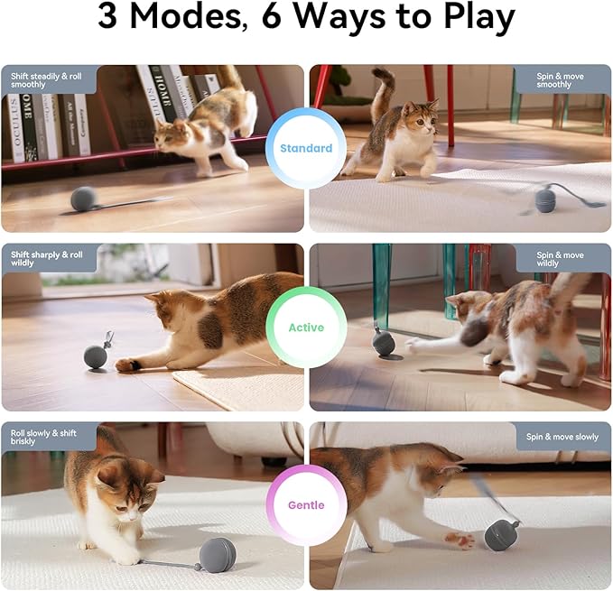 Cheerble 2 in 1 Interactive Cat Toys for Indoor Cats - Wicked Ball Duo2 Automatic Cat Toy, Dual Interchangeable Shells, Electric Cat Toy Ball with Chirping Sounds,Rechargeable Moving Kitten Toys, Blue