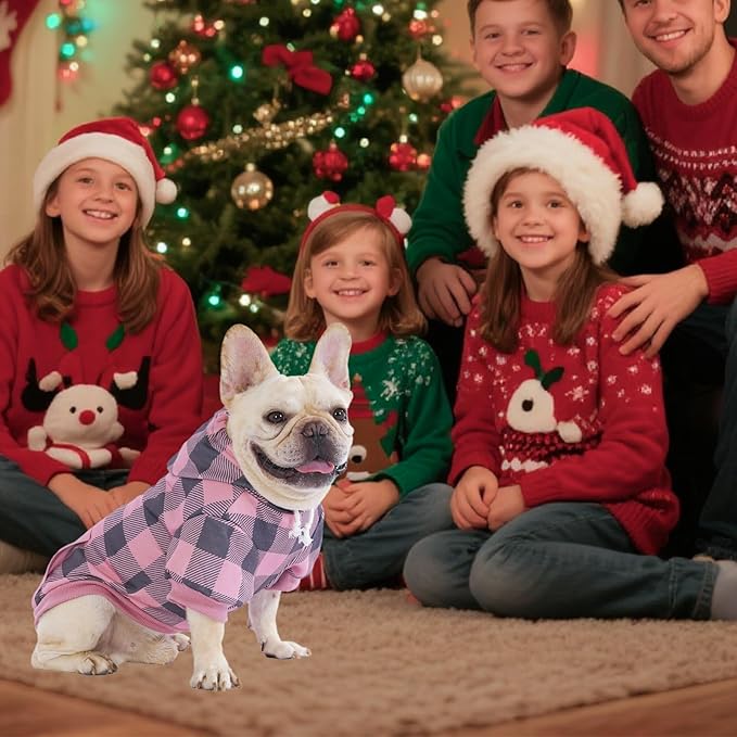 KOOLTAIL Plaid Dog Hoodie Pet Clothes Sweater with Hat and Pocket for Small Medium Large Size Dogs, Soft Winter Warm Dog Cold Weather Coat, Fleece Fall Dog Hooded Sweatshirt for Puppy Cats, Pink M