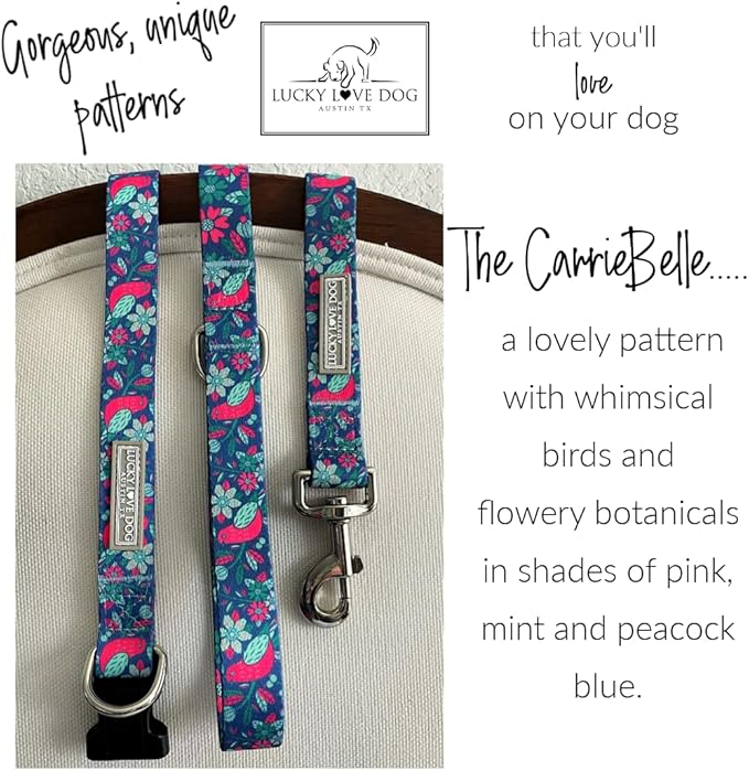 Lucky Love Dog - Adjustable Collar and Leash Set with Easy Click Buckle for Small to Large Dogs, Durable, & Comfortable Collar for Male & Female Dogs, Puppies & Adult - CarrieBelle Combo, XS