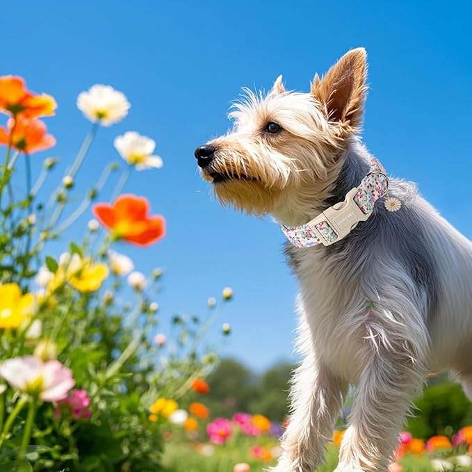 ARING PET Floral Dog Collar, Cute Purple Flower Spring Summer Pet Collars with Quick Release Buckle for Puppy Small Medium Large Boy Girl Dogs-L