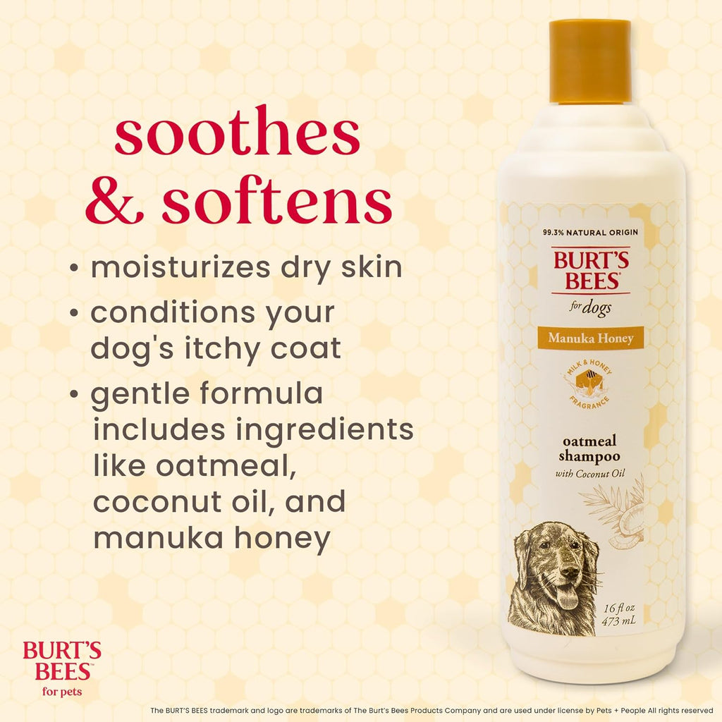 Burt’s Bees Manuka Honey Oatmeal Shampoo for Dogs with Coconut Oil, 16 Fl Oz