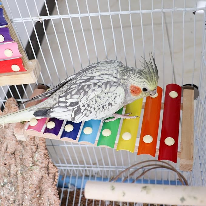 Dnoifne Colorful Bird Xylophone Toy, Funny Xylophone Toy with 8 Metal Keys, Cage Accessories for Chicken Chick Birds Parrots Parakeets Cockatiels Budgies Love Birds