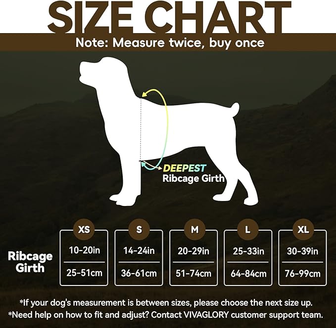 VIVAGLORY Dog Harness Easefit No Pull Dog Harness with Front Clip & Handle for Lifting Training, Adjustable Padded No-Pull Anti Pull Easy On for Puppy & Pet, S, Orange