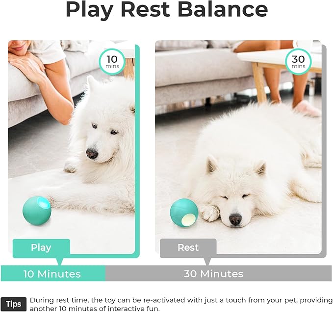 Interactive Dog Toys, Wicked Ball PE, 3 Interactive Modes,Enhanced Rubber Active Rolling Dog Toy with LED Lights for Medium Large Dogs, Motion-Activated Dog Stimulation Toy for Boredom Relief