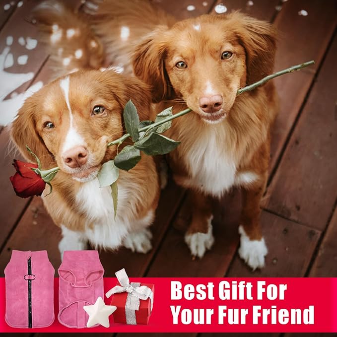 Idepet Dog Fleece Vest Sweater Zip Up Warm Pullover Dogs Jacket with D-Ring Leash Winter Cold Weater Coat Pet Sweatershirt Clothes Hoodie for Small Medium Dogs Boy Girl (Rose Red, XXS)