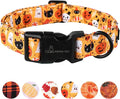 ARING PET Halloween Dog Collar-Cute Pumpkin Dog Collar for Small Dogs, Adjustable Halloween Ghost Dog Collars for Small Medium Large Female and Male Dogs