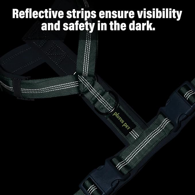 Plutus Pet No Pull Dog Harness, Adjustable Nylon Harness with Soft Padding, Reflective and Heavy Duty Dog Harness for Small, Medium, Large Dogs(Teal, XS)