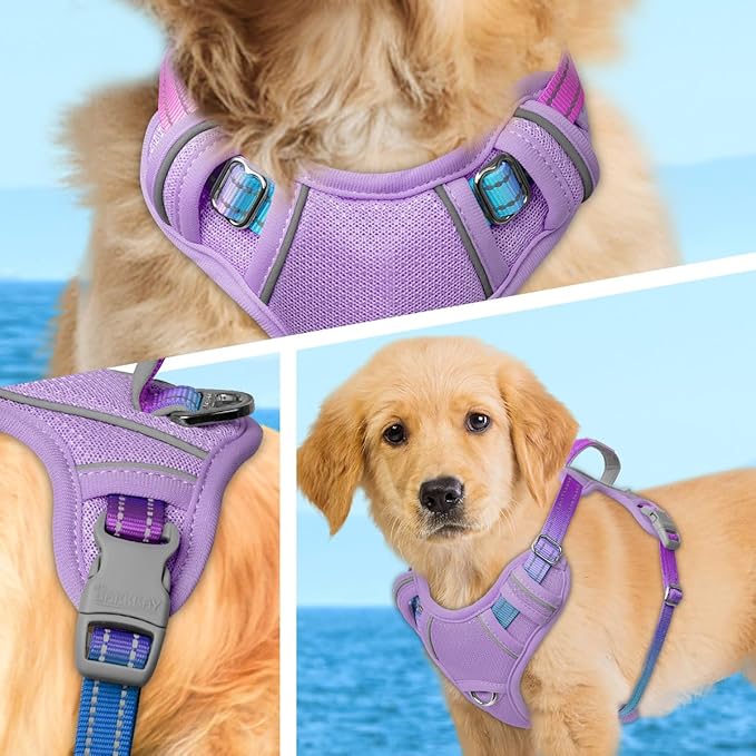BARKBAY No Pull Dog Harness Large Reflective Dog Harness with Front Clip and Easy Control Handle for Walking Training Running with ID tag Pocket(Lavender Sky,S)