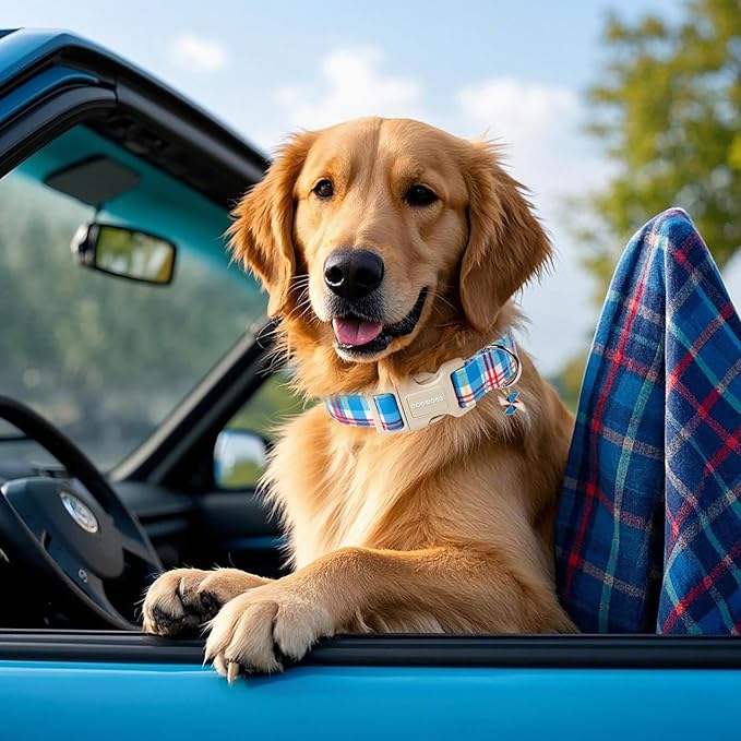 DOGWONG Blue Plaid Dog Collar- Cute Checkered Dog Collars Adjustable Designer Blue Puppy Dog Collar for Small Medium Large Dogs XL