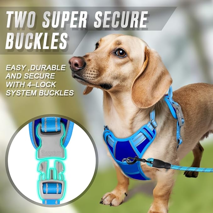 BARKBAY No Pull Dog Harness Front Clip Heavy Duty Reflective Easy Control Handle for Large Dog Walking(Sapphire Blue & Blue,S)