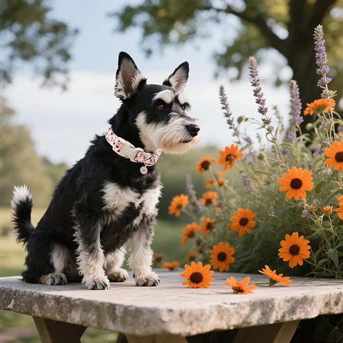 DOGWONG Fall Flower Dog Collar, Orange Flower Dog Collar Adjustable Soft Natural Fabric Girl Pet Dog Collars Cute Puppy Necklace for Small Medium Large Dogs