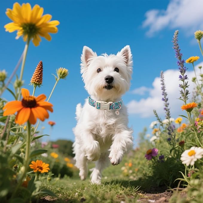 DOGWONG Blue Flower Dog Collar, Purple Daisy Dog Collar Adjustable Soft Fabric Girl Pet Dog Collars Cute Puppy Necklace for Small Medium Large Dogs