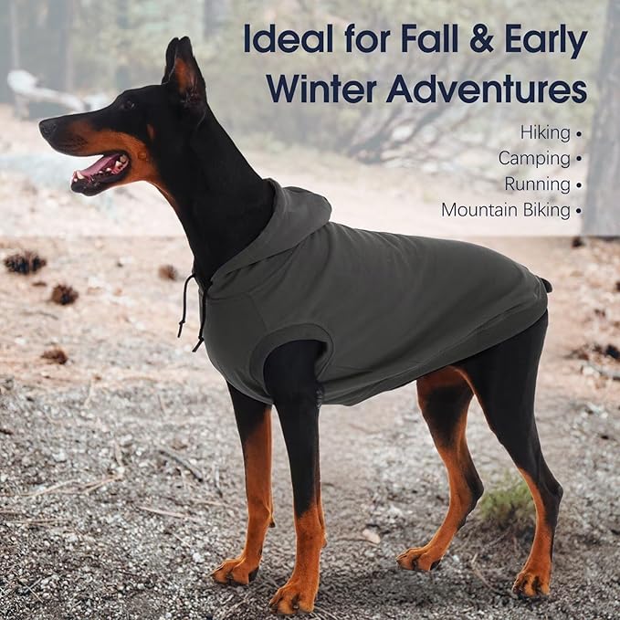 IECOii Dog Hoodie for Small Dogs,Thin Dog Sweatshirt with Hood Suit for Spring Fall Early Winter,Breathable & Lightweight Pet Sweater for Schnauzer, Pug,French Bulldog,Grey, M (No Fleece Lined)