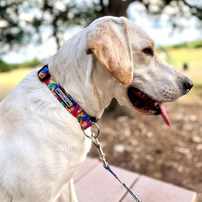 Lucky Love Dog - Easy Click Buckle Dog Collar with Leash Set Combo, Durable & Comfortable for Male & Female Dogs, Pet Collar for Small to Large Dogs, Secure Fit - Hana Combo, Large