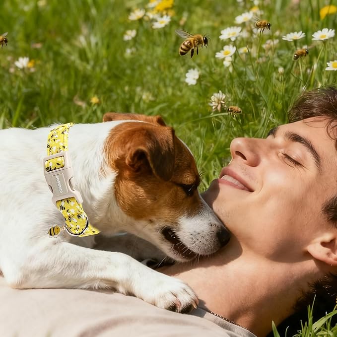 DOGWONG Cute Cotton Dog Collar for Small Medium Large Dogs Cute Yellow Bee Dog Collar for Boy Girl Dogs,M