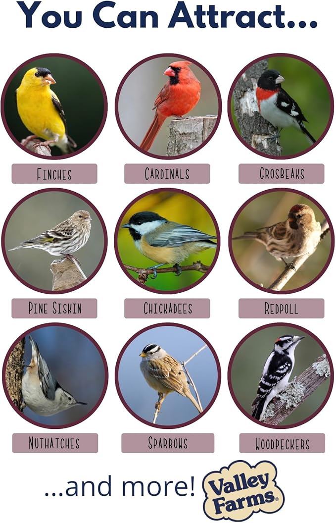 Valley Farms Whole Sunflower Hearts for Birds, Girasol Kernels Wild Bird Food, No Mess Wild Bird Seed for Outside Feeders (4 LBS)