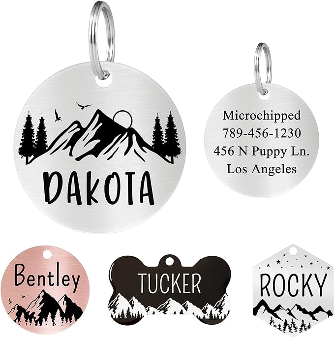 Ultra Joys Personalized Dog & Cat Tags - Stainless Steel, Custom Engraving Front & Back, Round Top, Silver Small