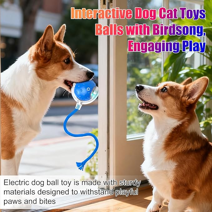Tiny Fetch Dog Toy, Tinyfetch Interactive Dog Cat Toys Balls with Birdsong, 360° Smart Automatic Rolling Dog Ball Toy with Rope for Pets Indoor & Outdoor Play (Blue)