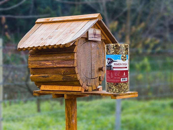 Birdseed Cylinders with Hole - Bird Seed for Outside Wild Birds (Small Cylinder, Redhead Special 6pc)