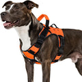 WINGOIN Orange Tactical Dog Harness for Medium Dogs, Heavy Duty No Pull Dog Harness with Handle, Adjustable Reflective Military K9 Pet Vest for Pitbull, Female, Male, Walking, Training, Hunting (M)