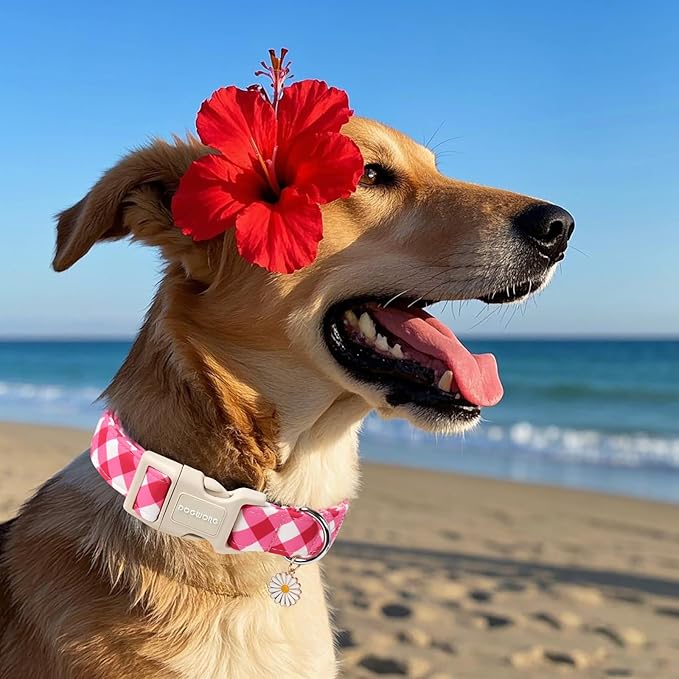 DOGWONG Pink Plaid Dog Collar, Pink Dog Collar Adjustable Soft Natural Fabric Girl Pet Dog Collars Cute Puppy Necklace for Small Medium Large Dogs