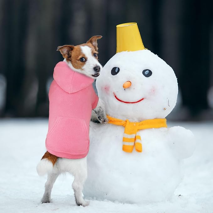 Extra Small Dog Sweater,Dog Hoodie,Warm Fleece Sweatshirt with Hood & Pocket,Leash Hole,Cozy Cold Weather Cat Pet Clothes Puppy Sweater for Small Dogs(Pink,XS)