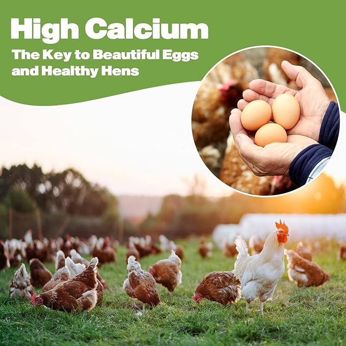 22LB Dried Black Soldier Fly Larvae, 2 Pack of 11 LBS, 86X Calcium Than Dried Mealworms, High Protein Non-GMO Organic Chicken Feed