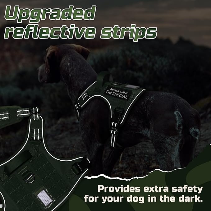 rabbitgoo Tactical Dog Harness for Small Dogs, No Pull Military Service Vest with Handle & Molle, Easy Control for Training Walking, Adjustable Reflective Straps, Green, S