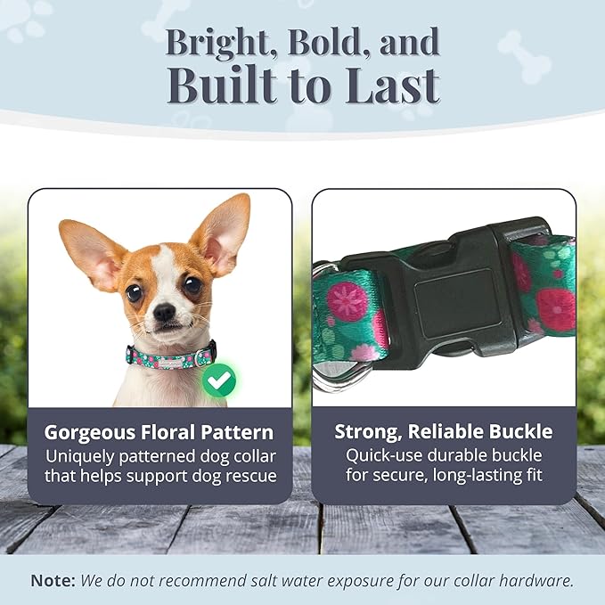 Lucky Love Dog - Adjustable Dog Collar with Easy Click Buckle for Small to Large Dogs, Durable, & Comfortable for Male & Female Dogs, Pet Collar for Puppies & Adult Ones - Penny, XS