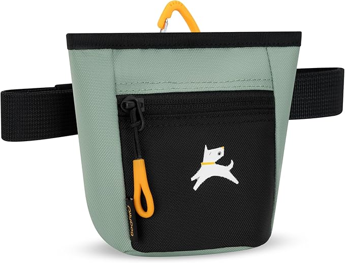 OllyDog Goodie Treat Bag, Dog Treat Pouch, Waist Belt Clip for Hands-Free Training, Magnetic Closure, Dog Training and Behavior Aids, Three Ways to Wear (Iceberg Green)