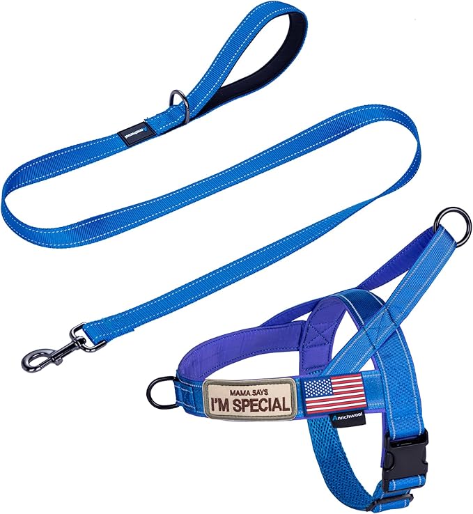 Annchwool No Pull Dog Harness with Padded Handle+5 Ft Leash,Reflective Strip Escape Proof and Quick Fit to Adjust Dog Harness,Easy for Training Walking for Small & Medium and Large Dogs(Blue-Set,L)