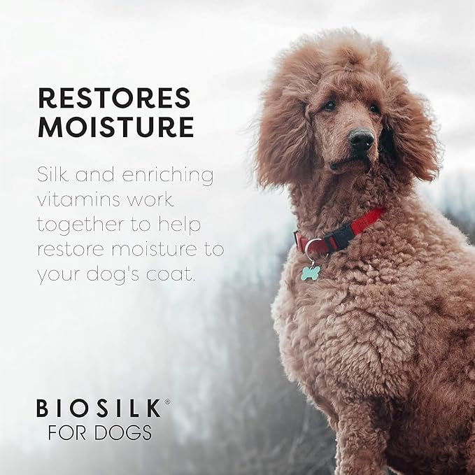BioSilk for Dogs Silk Therapy Conditioner with Natural Coconut Oil | Coconut Oil Dog Conditioner from BioSilk for Dogs Pet Conditioner, 12 Fl Oz - 2 Pack