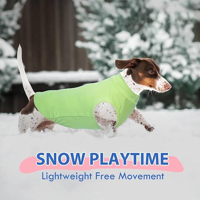 Dog Fleece Sweater - Green, L - Soft Warm Sleeveless Vest | Stretchable Sweatshirt for Medium Dogs, Lightweight for Free Movement,Outdoor Playing,Mini Schnauzer