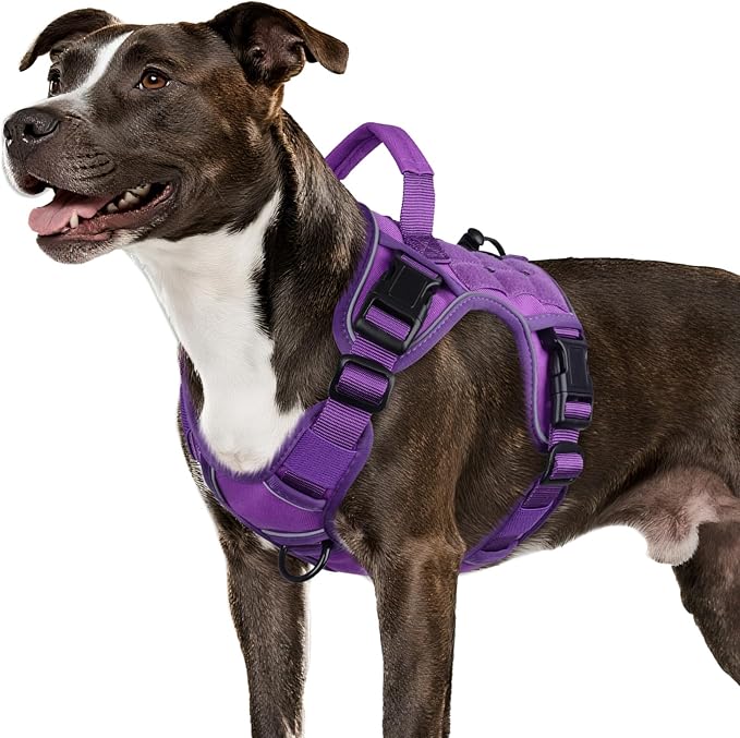WINGOIN Purple Tactical Dog Harness for Medium Dogs, Heavy Duty No Pull Dog Harness with Handle, Adjustable Reflective Military K9 Pet Vest for Pitbull, Female, Male, Walking, Training, Hunting (M)
