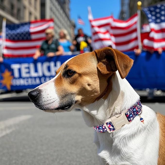 DOGWONG Patriotic Flag Dog Collar, 4th of July American Flag Dog Collars, Adjustable Cute Patriotic Pet Collars Fourth of July Design Dog Collar for Small Medium Large Dogs