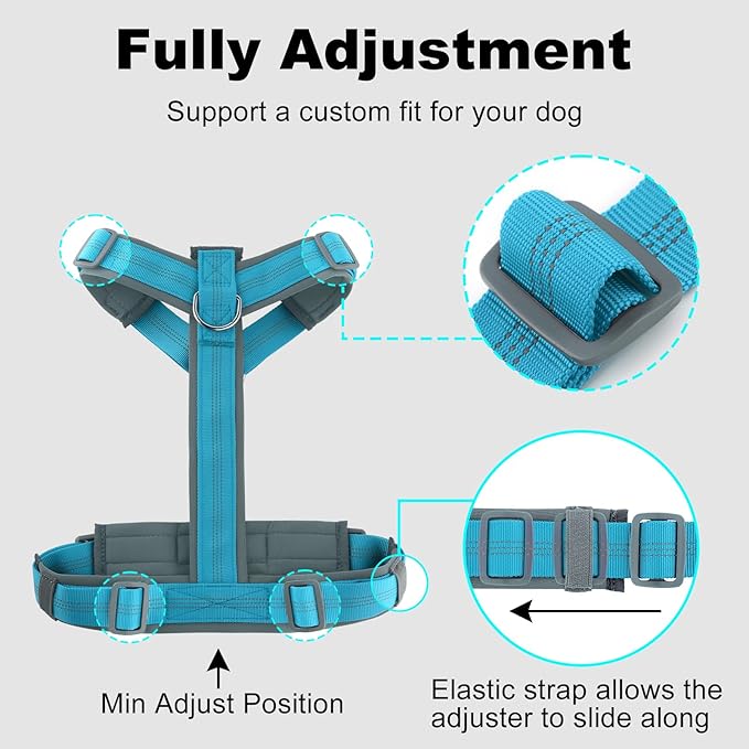 Plutus Pet No Pull Dog Harness, Adjustable Nylon Harness with Soft Padding, Reflective and Heavy Duty Dog Harness for Small, Medium, Large Dogs(Cyan, S)