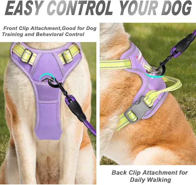 BARKBAY No Pull Dog Harness Front Clip Heavy Duty Reflective Easy Control Handle for Large Dog Walking(Violet Purple & Sunlight,L)