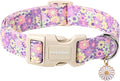DOGWONG Flower Dog Collar, Girl Daisy Dog Collar Durable Ice Cream Pet Dog Collars Cute Summer Beach Puppy Necklace for Small Medium Large Dogs