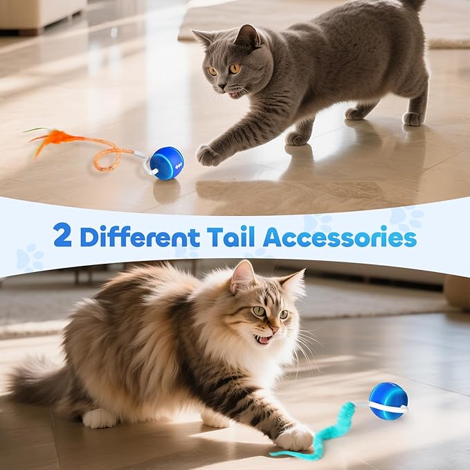 Interactive Cat Toy Ball, Automatic Cat Toys for Indoor Cats, Motion Activated Kitten Toys with 2 Replacement Tails, 3 Modes, USB Rechargeable, Moving Cat Toys for Enrichment Exercise(Blue)