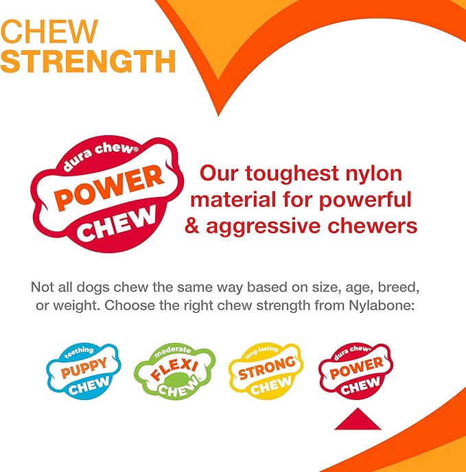 Nylabone Limited Edition 70th Birthday Textured Bone Power Chew Toy for Dogs, Durable & Tough Dog Toys for Aggressive Chewers, Roasted Chicken Flavor, Medium Dogs - Up to 35 lbs (1 Count)