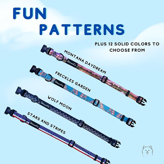ShawnCo Dream Walk Dog Collar- Premium, Adjustable and Comfortable Pet Collar for Small, Medium, Large and Extra Large Dogs (S, Pacific Blue)