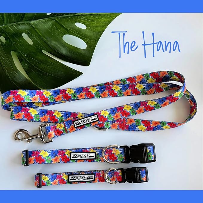 Lucky Love Dog - Easy Click Buckle Dog Collar with Leash Set Combo, Durable & Comfortable for Male & Female Dogs, Pet Collar for Small to Large Dogs, Secure Fit - Hana Combo, Small