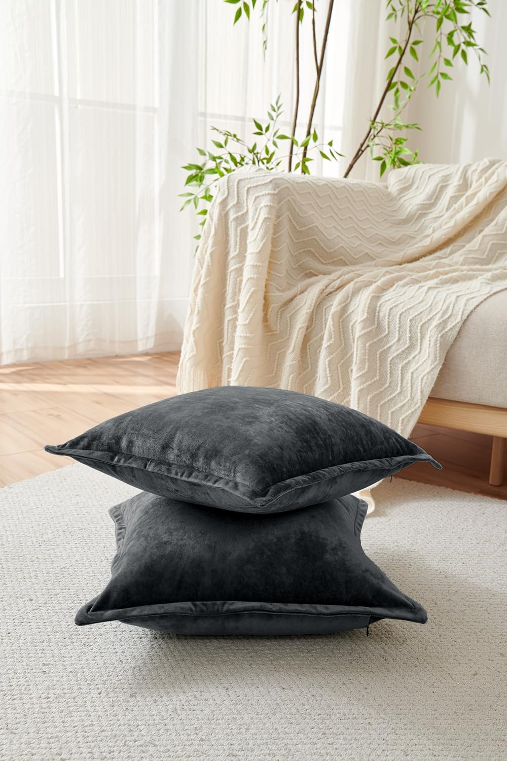 Luxurious Velvet Throw Pillow Covers 20x20 Set of 2 Decorative Pillow Covers Solid Square Cushion Case for Sofa Couch Bedroom Farmhouse, Black